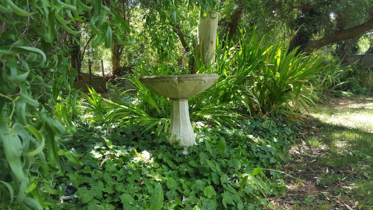 فيلا Angaston By The Winter Creek المظهر الخارجي الصورة